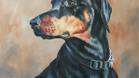 Doberman Painting in Stages